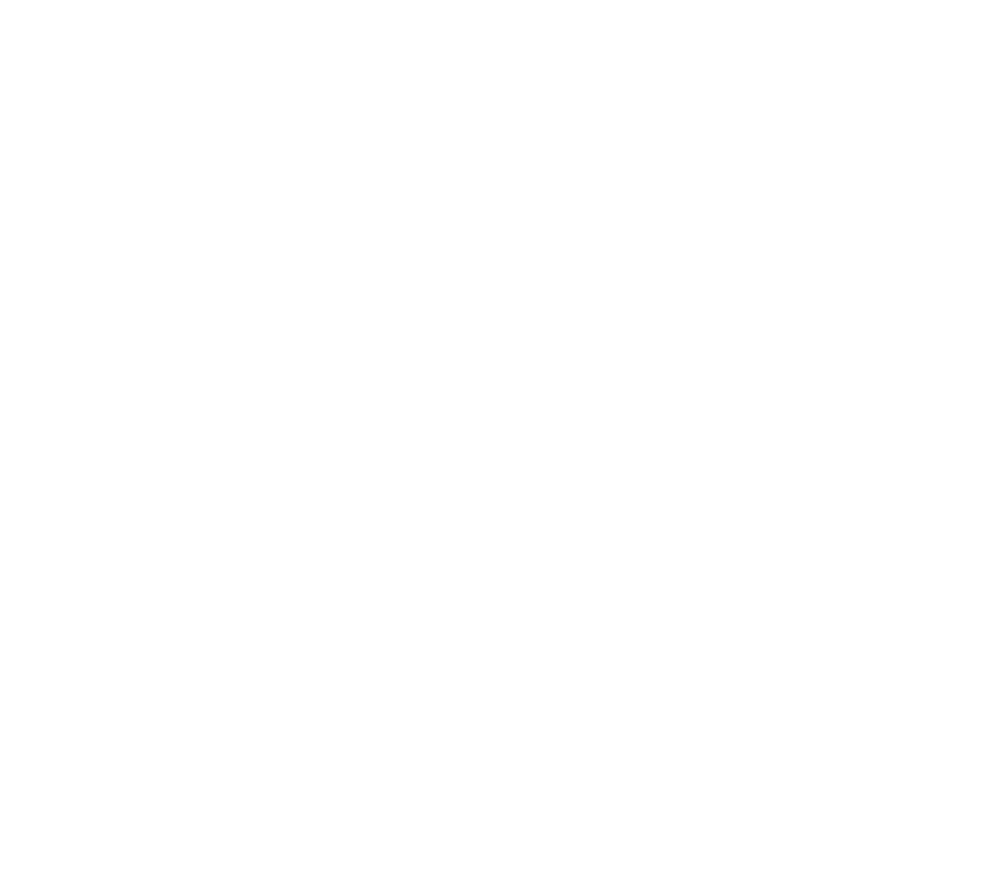 Logo Monerisk